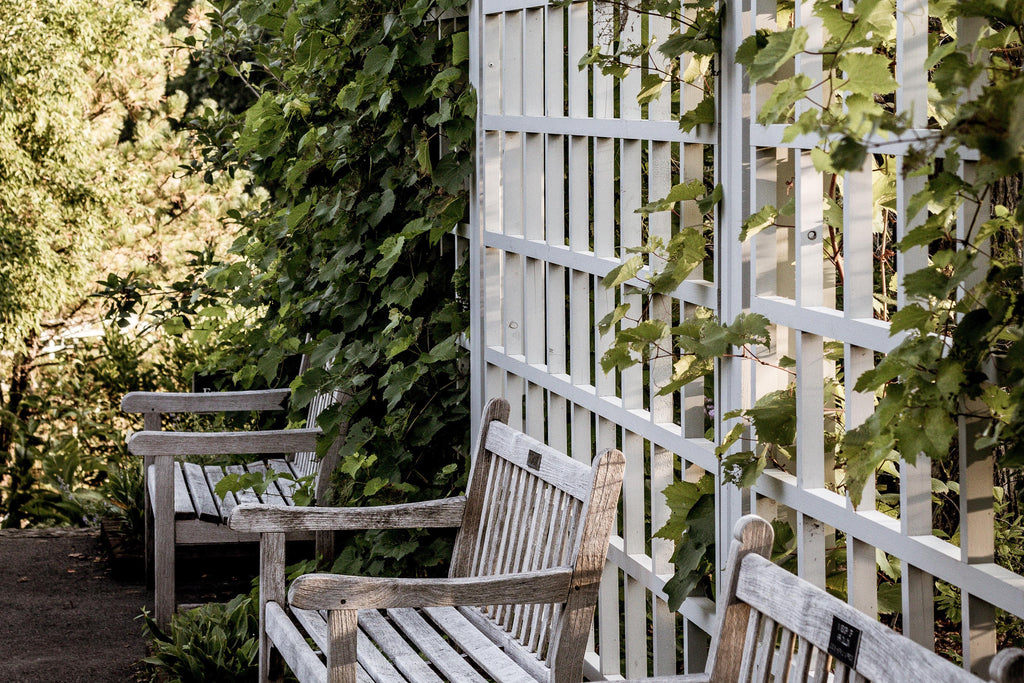 Wooden Trellis and Bench