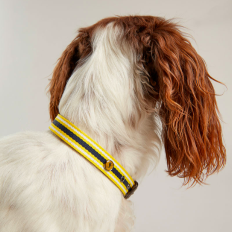 Joules Adjustable Coastal Pattern Dog Collar in yellow and blue