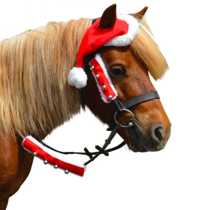 Equestrian Christmas Accessories with santa hat