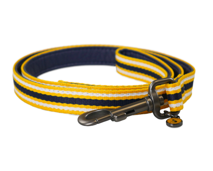 Joules Coastal Dog Lead in yellow and blue