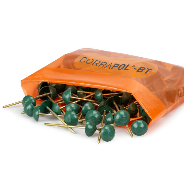 Corrapol-BT Corrugated Bitumen Fixings 100 Pk
