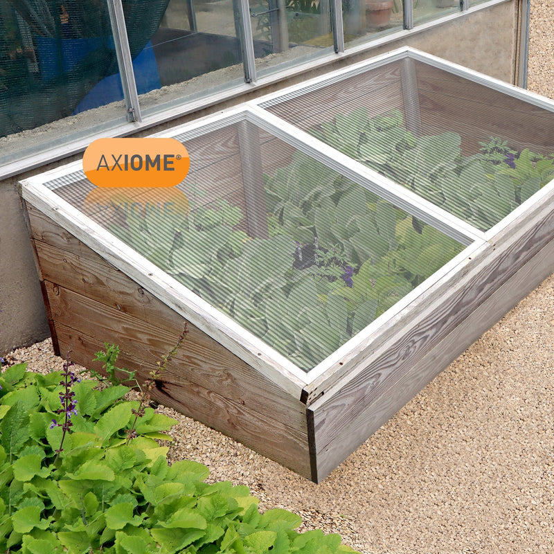 Axiome Clear 4mm Twinwall