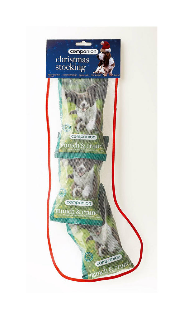 Companion Dog Treat Christmas Stocking
