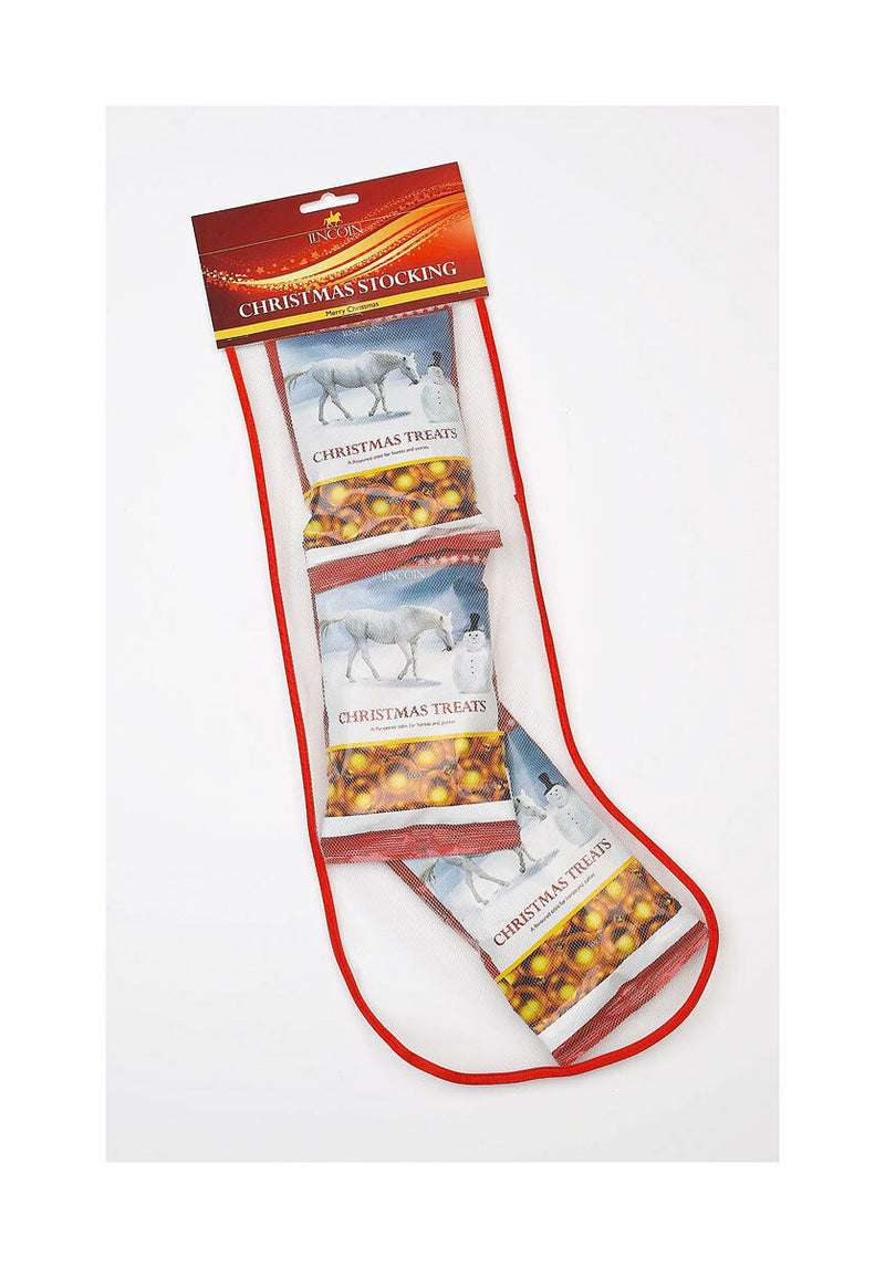 Horse Treats In Christmas Stocking