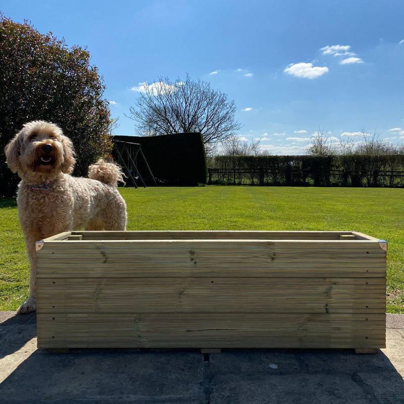3 Board High timber Redwood Decking Planter on a patio with a dog