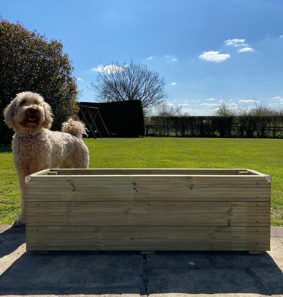 3 Board High timber Redwood Decking Planter on a patio with a dog
