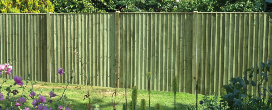 Featheredge Garden Fence Panels in a garden