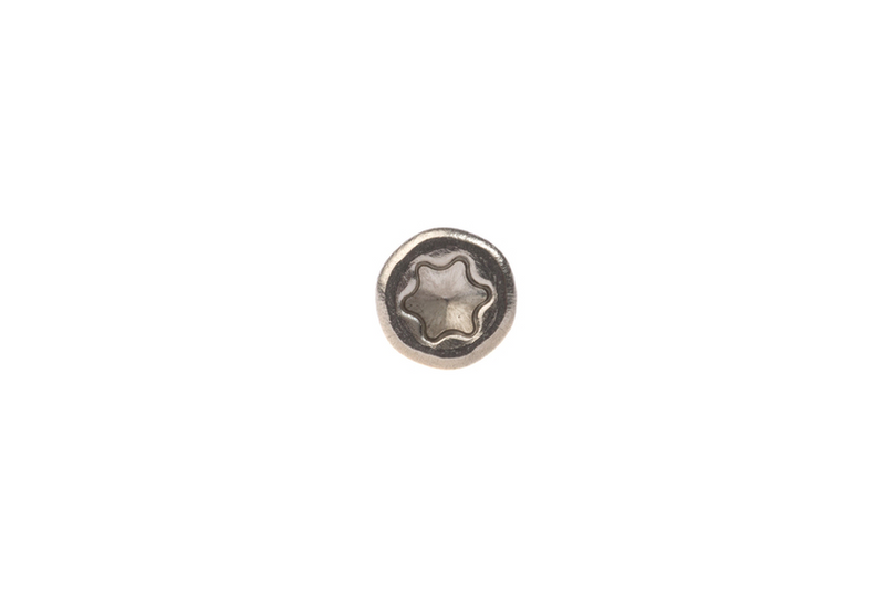 Stainless Steel Cladding Screws
