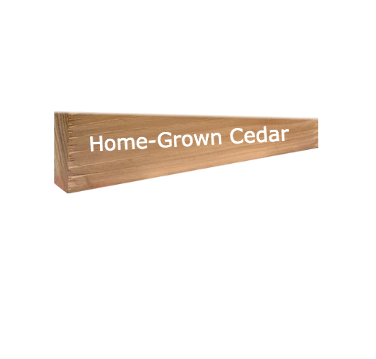 Free 15cm Sample - 2" x 1" Timber