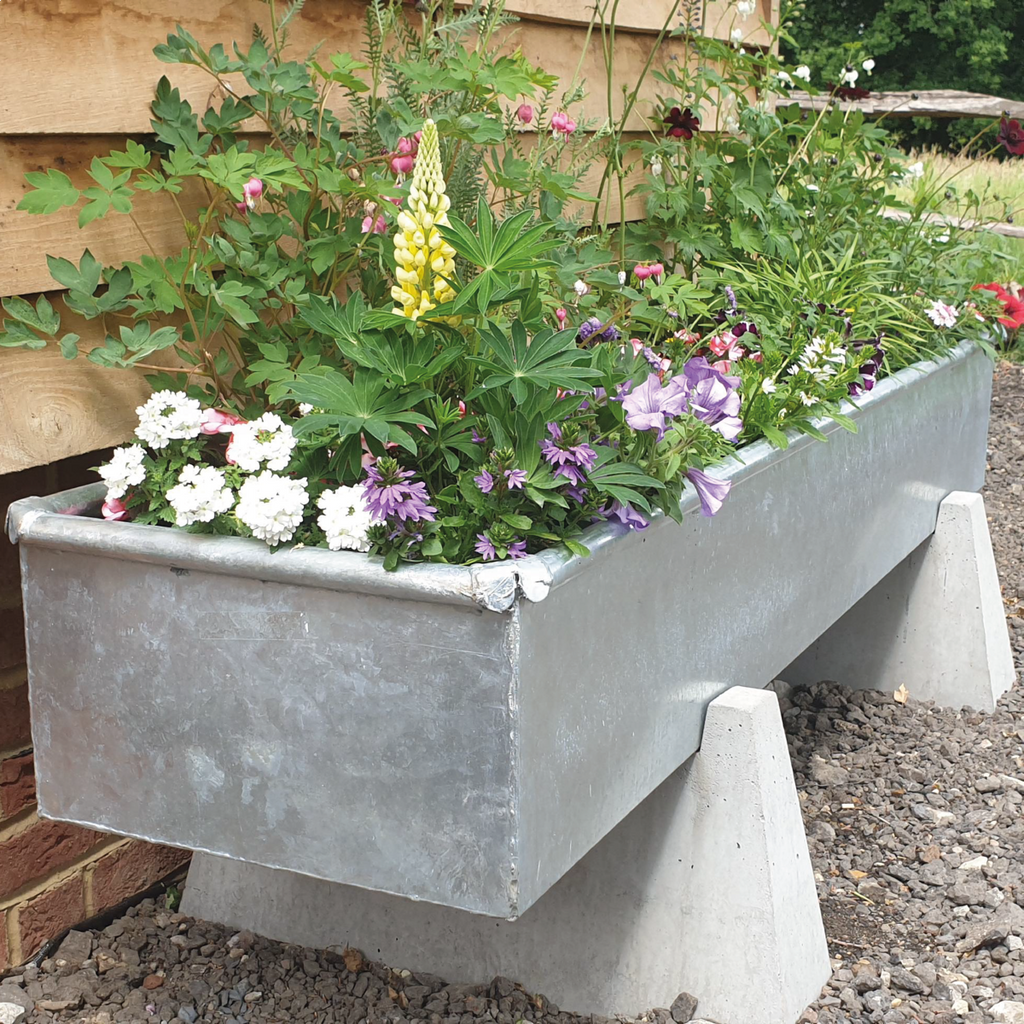 Galvanised Garden Planter with flowers in