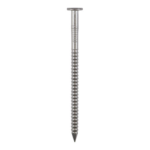 Stainless Steel Nails